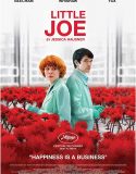 Küçük Joe – Little Joe 2019 Türkçe Dublaj izle